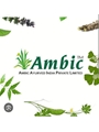 Ambic Ayurved India
