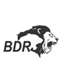 BDR Pharma