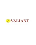 Valiant Life Sciences